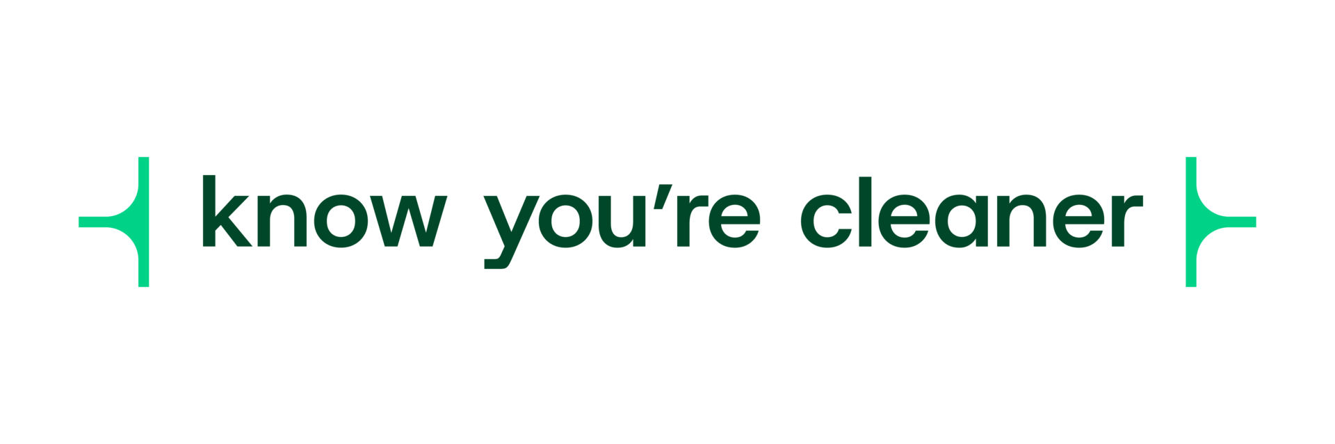 Cleanworks_RGB_BrandPromise_Positive (2)